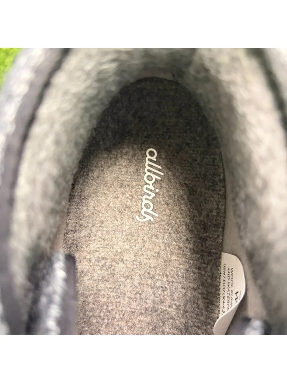 allbirds please review